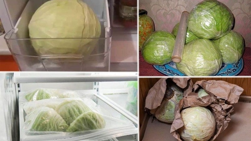 How to properly store cabbage in the freezer, refrigerator and without cooling devices