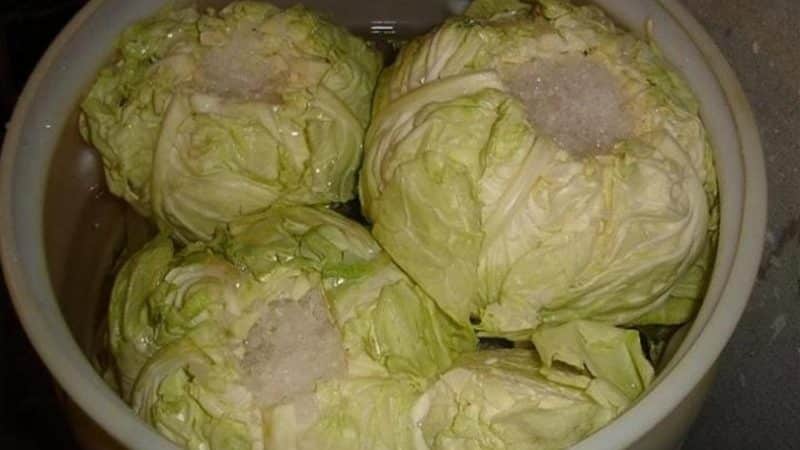 How to properly store cabbage in the freezer, refrigerator and without cooling devices