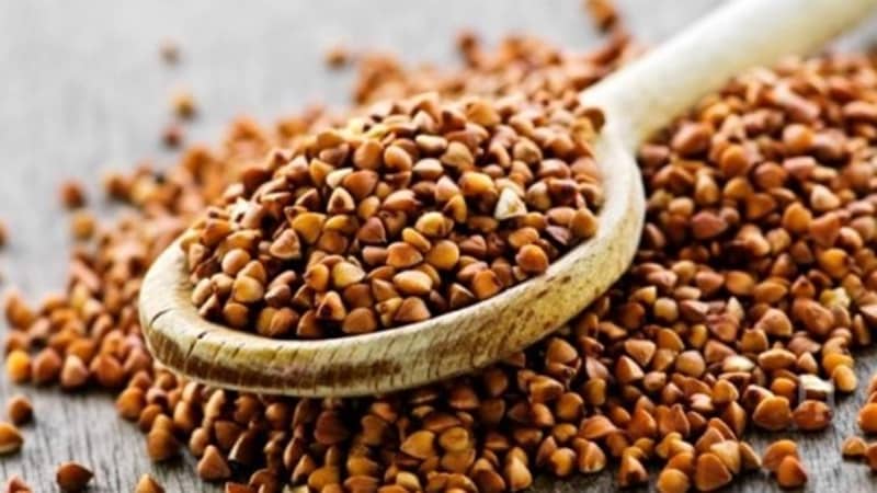 What are the varieties and types of buckwheat?