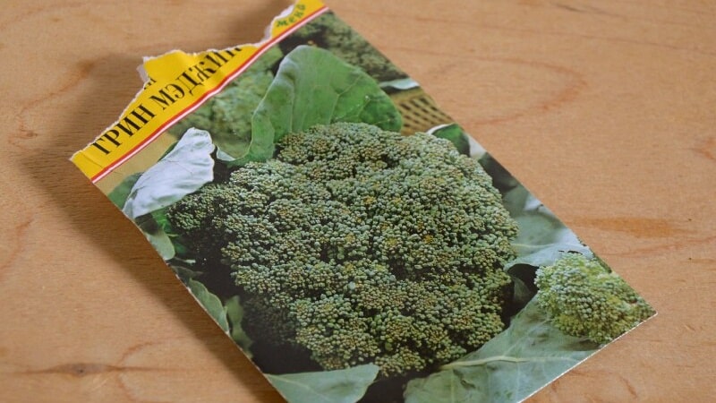 Green Magic F1 broccoli: description, cultivation features, reviews