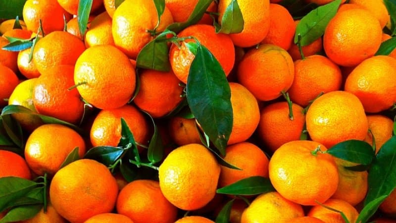 What is the difference between clementines and tangerines and which is healthier?
