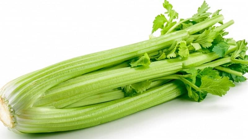 Is it possible to eat celery if you have pancreatitis?