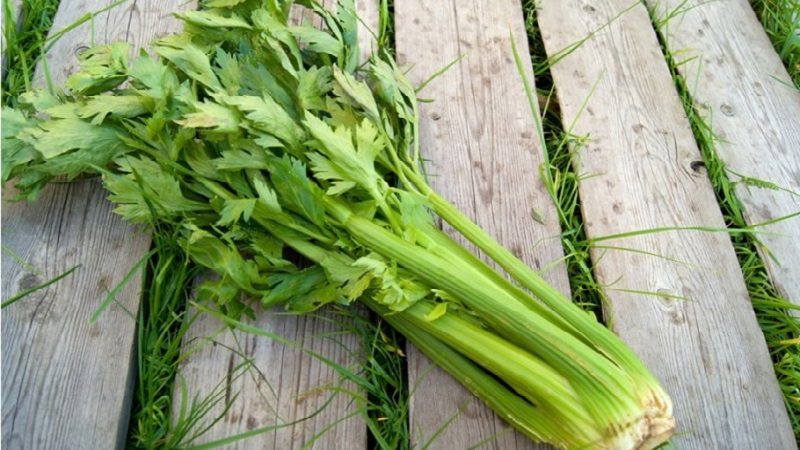 How to take celery to improve potency