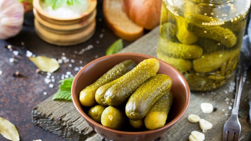 Recipe for a delicious winter snack: crispy pickled cucumbers with vodka
