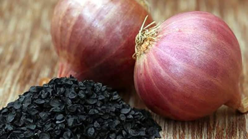 Recommendations from experienced gardeners: is it possible to sow nigella onions before winter and when to do it?