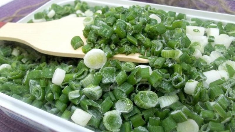 Preparing greens for the winter: is it possible to freeze green onions and how to do it correctly