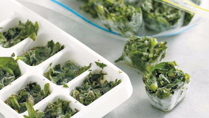 Preparing greens for the winter: is it possible to freeze green onions and how to do it correctly
