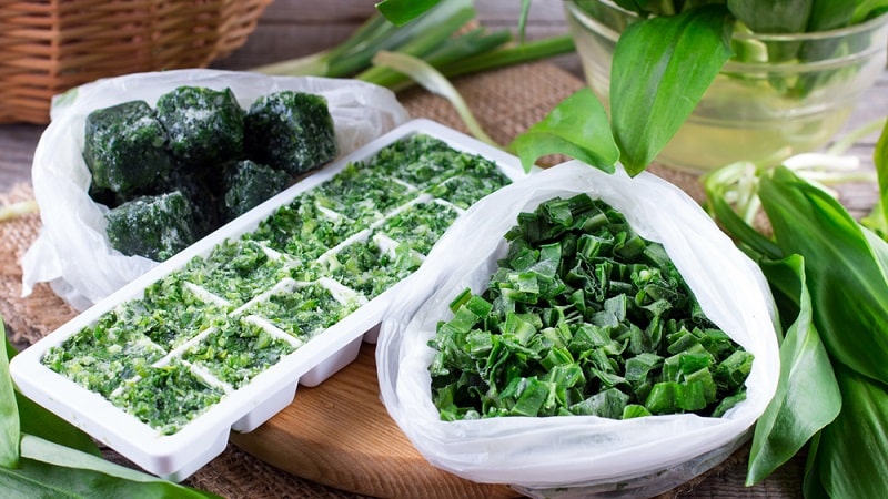Preparing greens for the winter: is it possible to freeze green onions and how to do it correctly