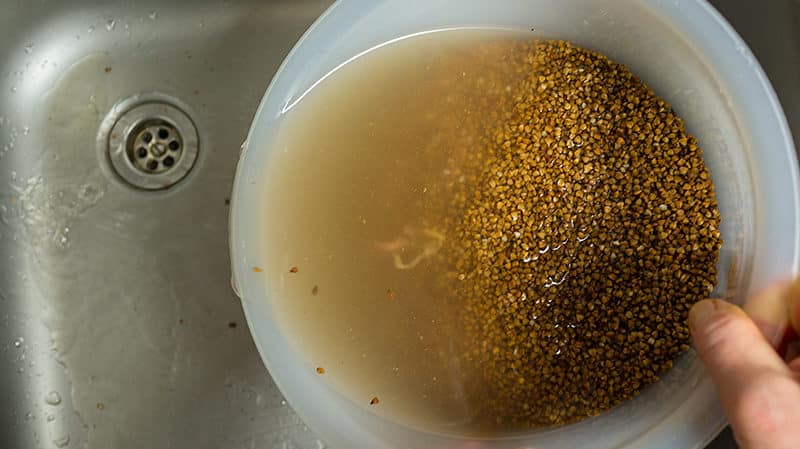 Preparing grains correctly: do you need to wash buckwheat before cooking and how to do it