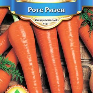 Features of the carrot variety Rote Risen: description, agricultural technology, reviews