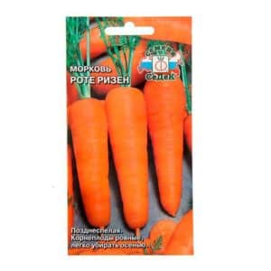 Features of the carrot variety Rote Risen: description, agricultural technology, reviews