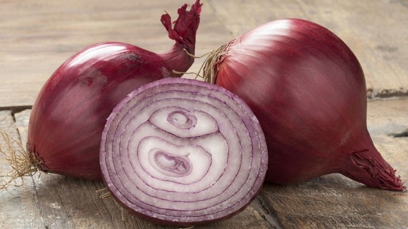 Features of cultivation and beneficial properties of red onions