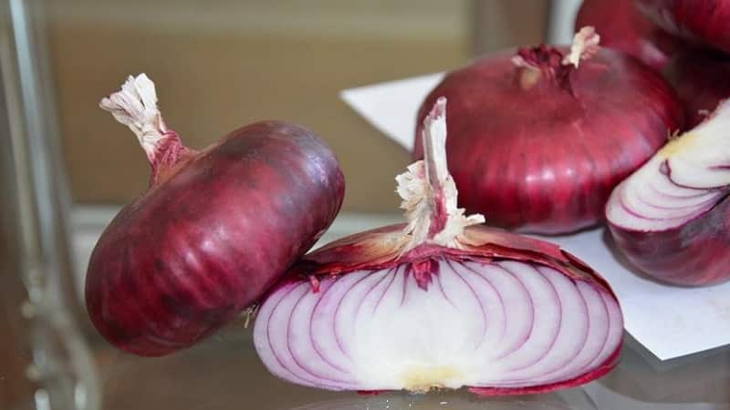 Features of cultivation and beneficial properties of red onions