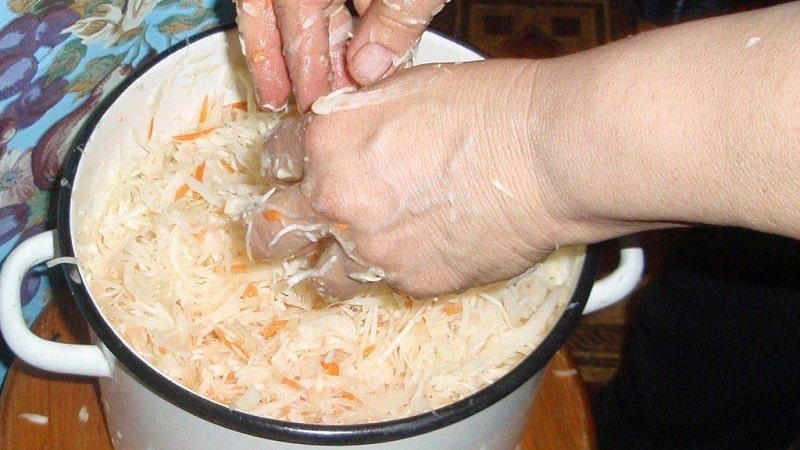 Why you can’t salt and ferment cabbage in aluminum containers
