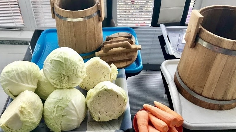 Why you can’t salt and ferment cabbage in aluminum containers