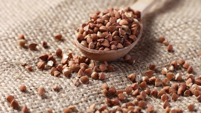 How to make buckwheat for porridge