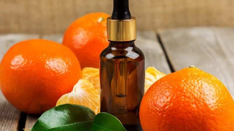 Health benefits and harms of tangerines, energy value and rules of consumption