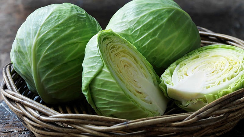 Simple and tasty recipes for making sauerkraut with vinegar