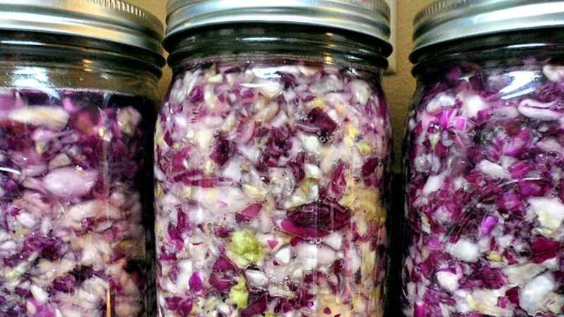 A selection of delicious red cabbage recipes for the winter in a jar