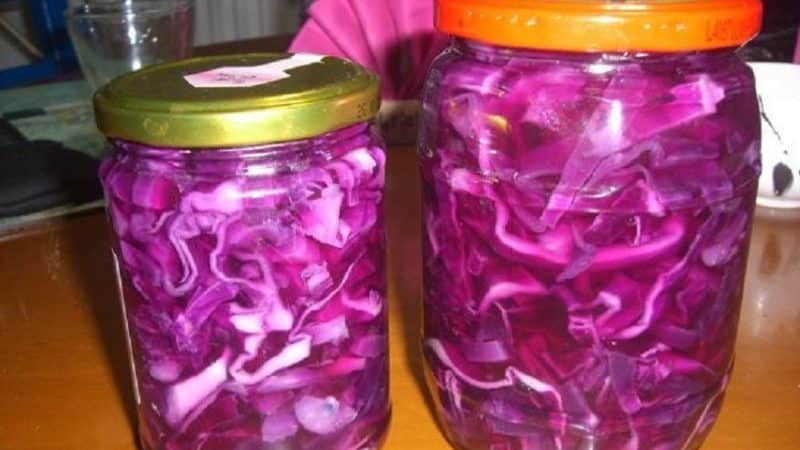 A selection of delicious red cabbage recipes for the winter in a jar