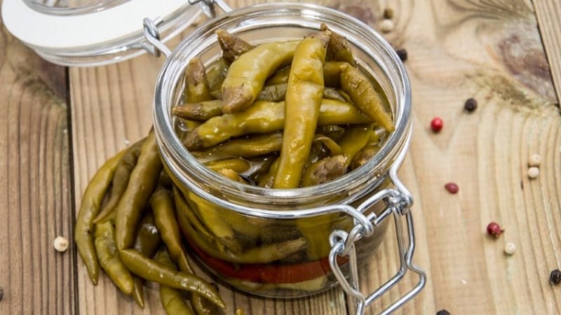 How to make a fiery appetizer with your own hands: recipes for hot pickled peppers for the winter