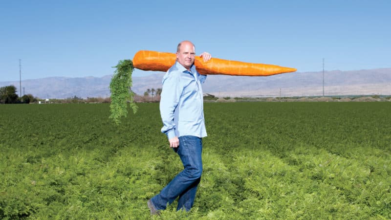 Record holders among vegetables: what is the largest carrot in the world and who grew it