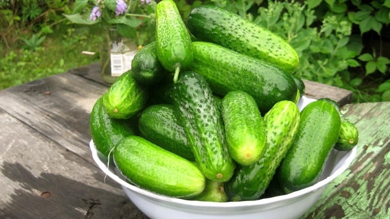 The most delicious recipes for crispy canned cucumbers from experienced housewives