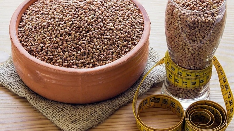 What is the largest variety of buckwheat - detailed description