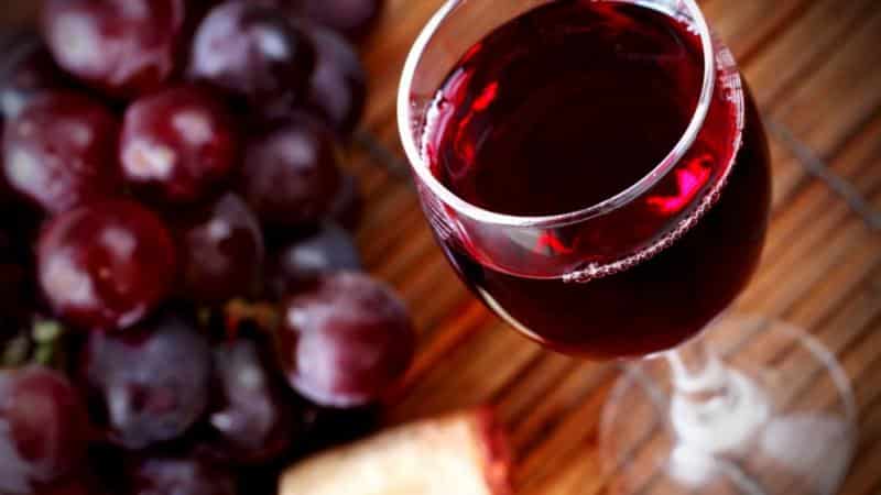 Early ripening dark-skinned grape variety Primitivo