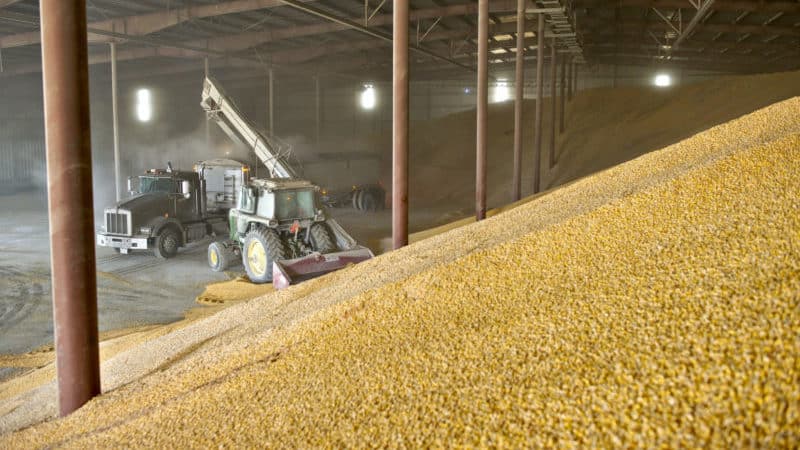 Terms, rules and methods of storing wheat on an industrial scale and at home