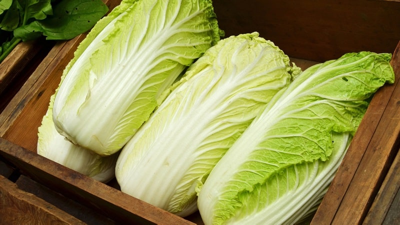 Ways to preserve Chinese cabbage for the winter at home in fresh, canned and frozen form