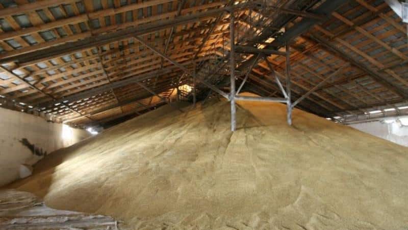 Terms, rules and methods of storing wheat on an industrial scale and at home