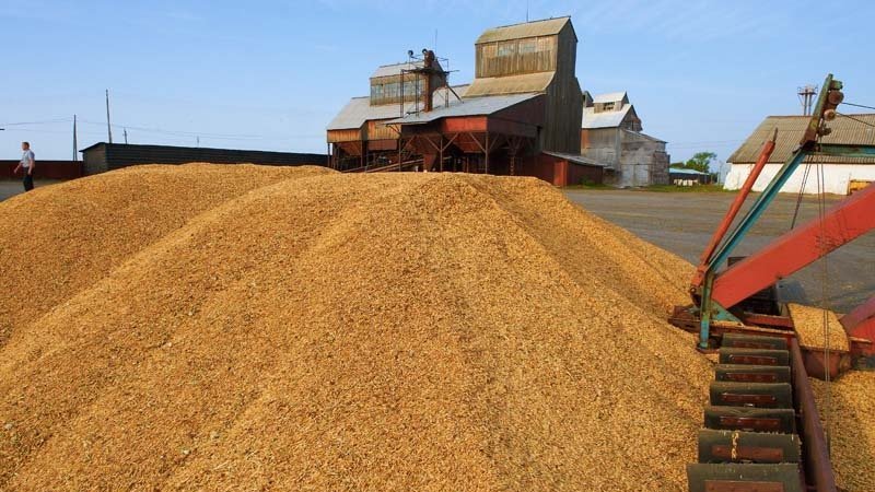 Terms, rules and methods of storing wheat on an industrial scale and at home