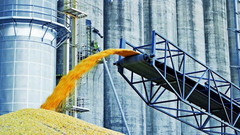 Terms, rules and methods of storing wheat on an industrial scale and at home