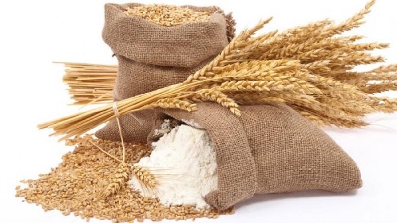 Wheat cultivation technology from preparation for sowing to harvesting
