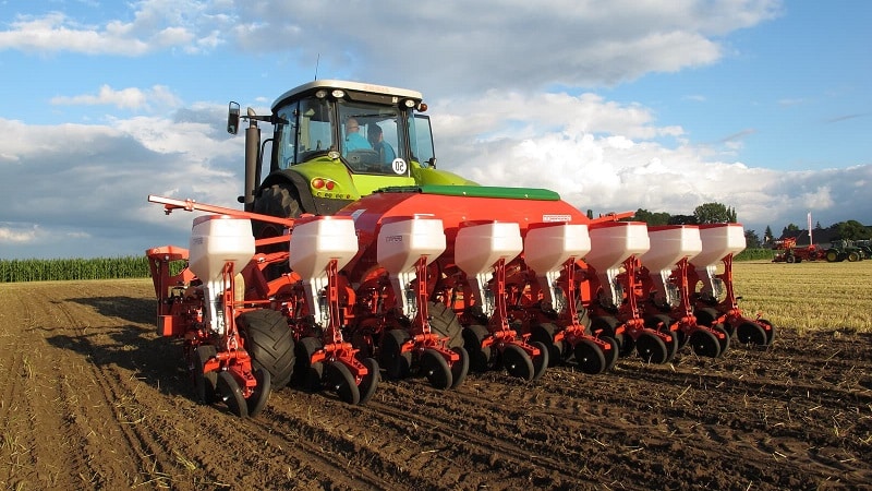 Wheat cultivation technology from preparation for sowing to harvesting
