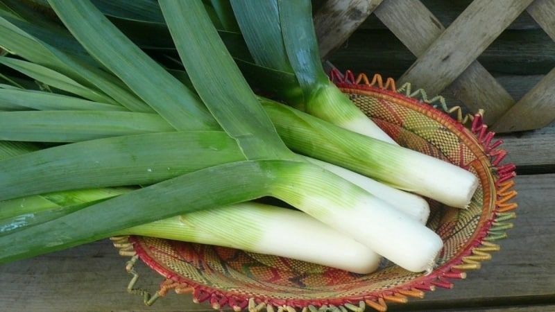 How to properly freeze leeks for the winter and can this be done at home?