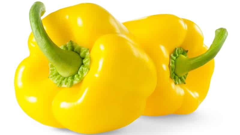 Characteristics and description of yellow pepper varieties