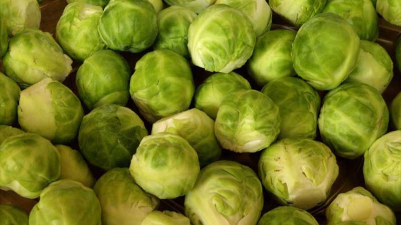 Brussels sprouts: description with photos and growing technology