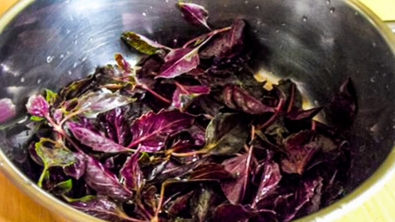 A fast-growing basil variety called Rosie with excellent flavor and aroma.