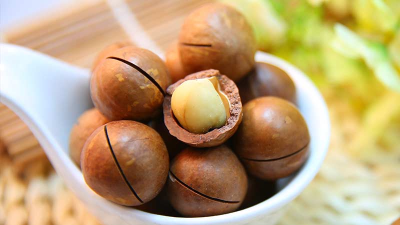 What are the health benefits of macadamia nuts?