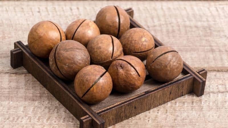 What are the health benefits of macadamia nuts?