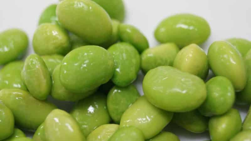 Edamame beans - origin, benefits and features