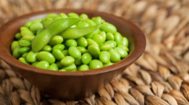 Edamame beans - origin, benefits and features