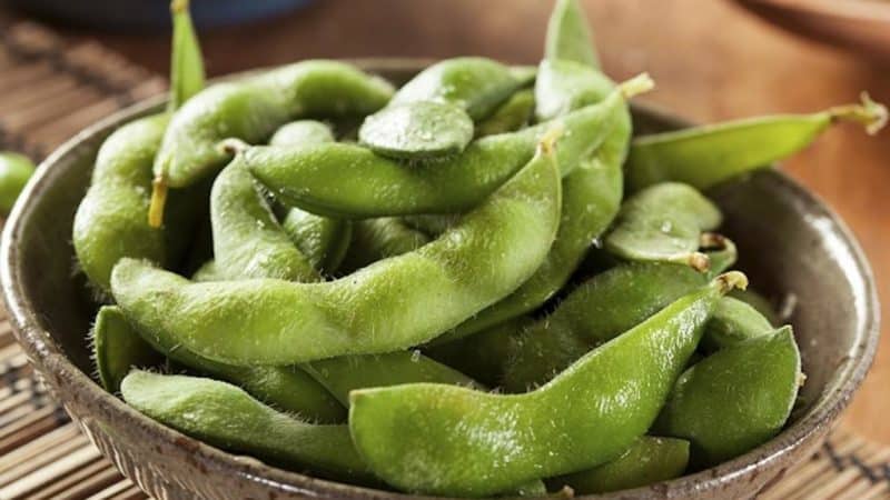 Edamame beans - origin, benefits and features