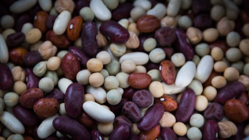 What are beans and how are they different from kidney beans?