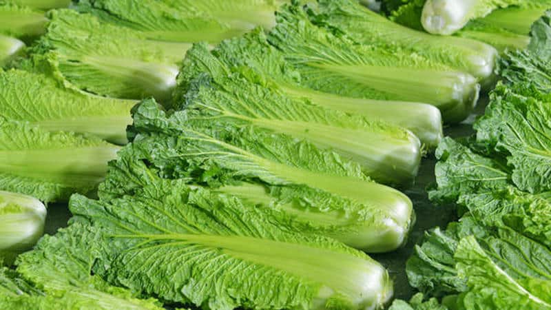 Diet for weight loss using Chinese cabbage: principles, approximate diet, reviews and results