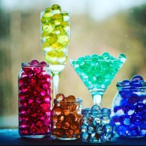 A guide to cutting petunia in the summer for novice gardeners
