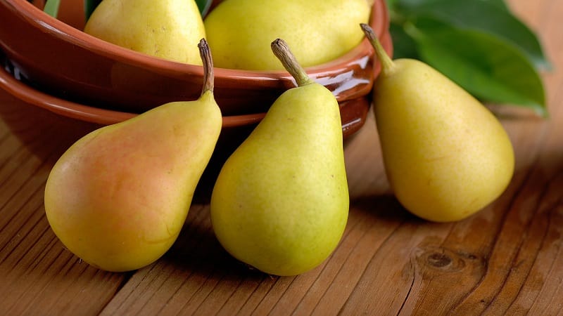 Chemical composition of pear, calorie content and its health benefits and harms