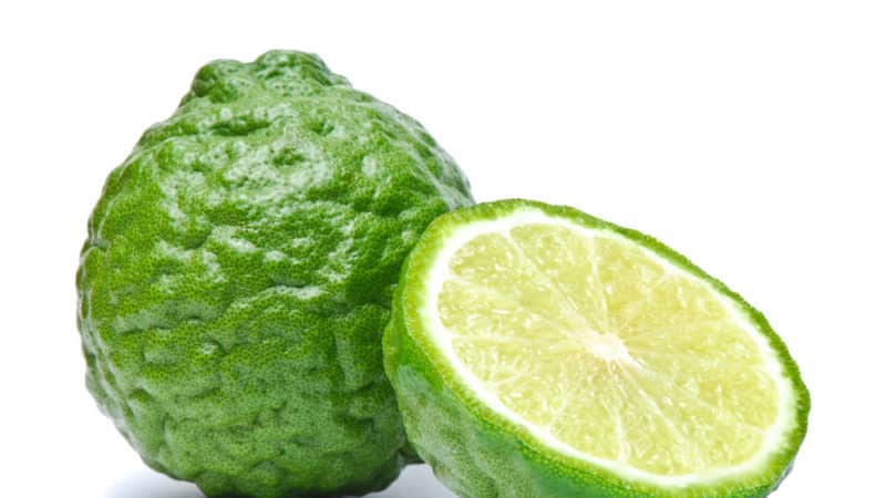 Kaffir lime - what kind of plant is it?